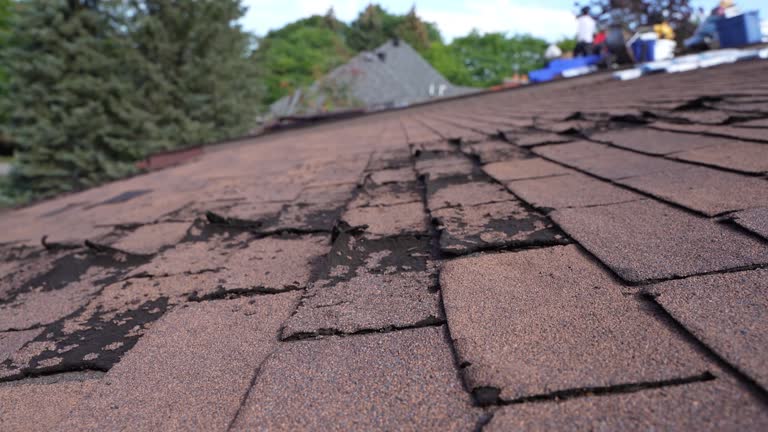 Best Roof Insulation Installation  in Morris, AL