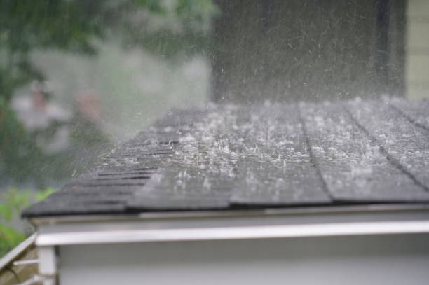 Best Gutter Installation and Repair  in Morris, AL