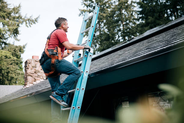 Best Storm Damage Roof Repair  in Morris, AL